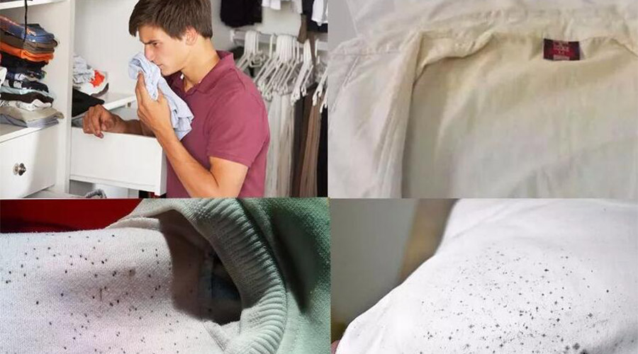 衣服護(hù)理小常識：潮濕天衣物有霉味不宜穿  該怎么辦？