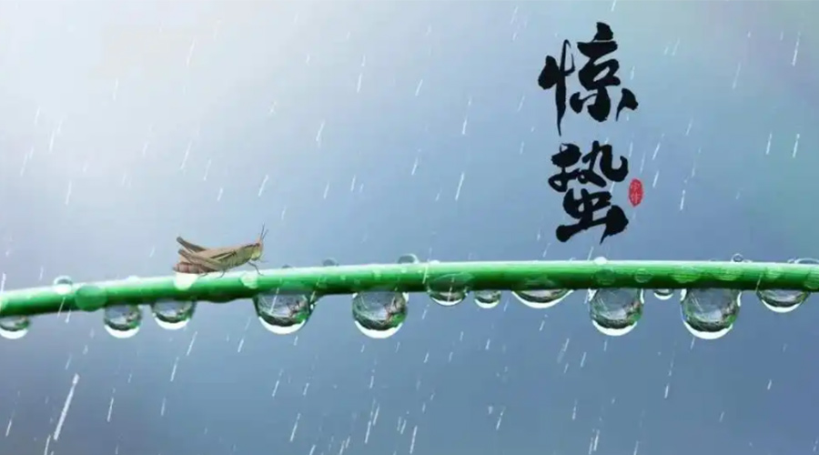 驚蟄時節(jié)！金環(huán)電器提醒大家干衣要注意這些
