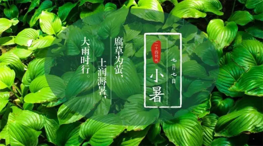 小暑時節(jié)來到！金環(huán)電器提醒大家要注意的事項