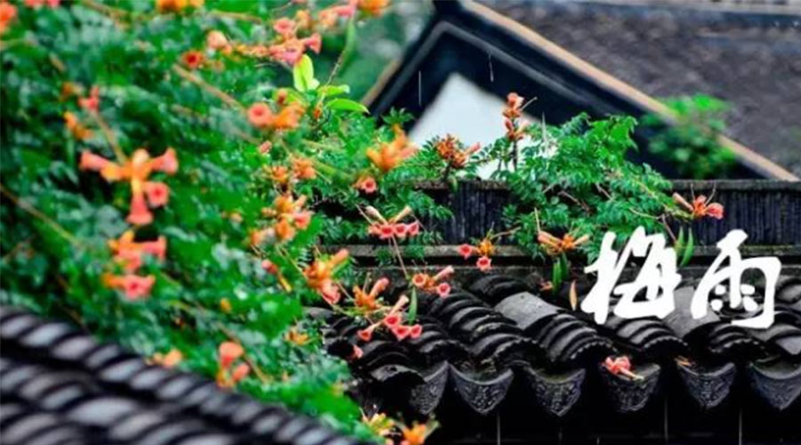 什么是梅雨？梅雨如何形成？  金環(huán)電器告訴你答案